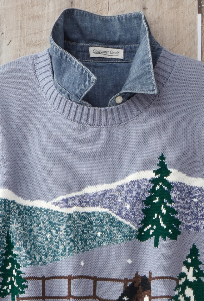 Suéter Coldwater Creek Woodland Trot color azul polvoriento multi Foto 2 de 4