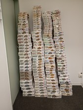 Riesiege 1:35 Tamiya Sammlung zu verkaufen! (...