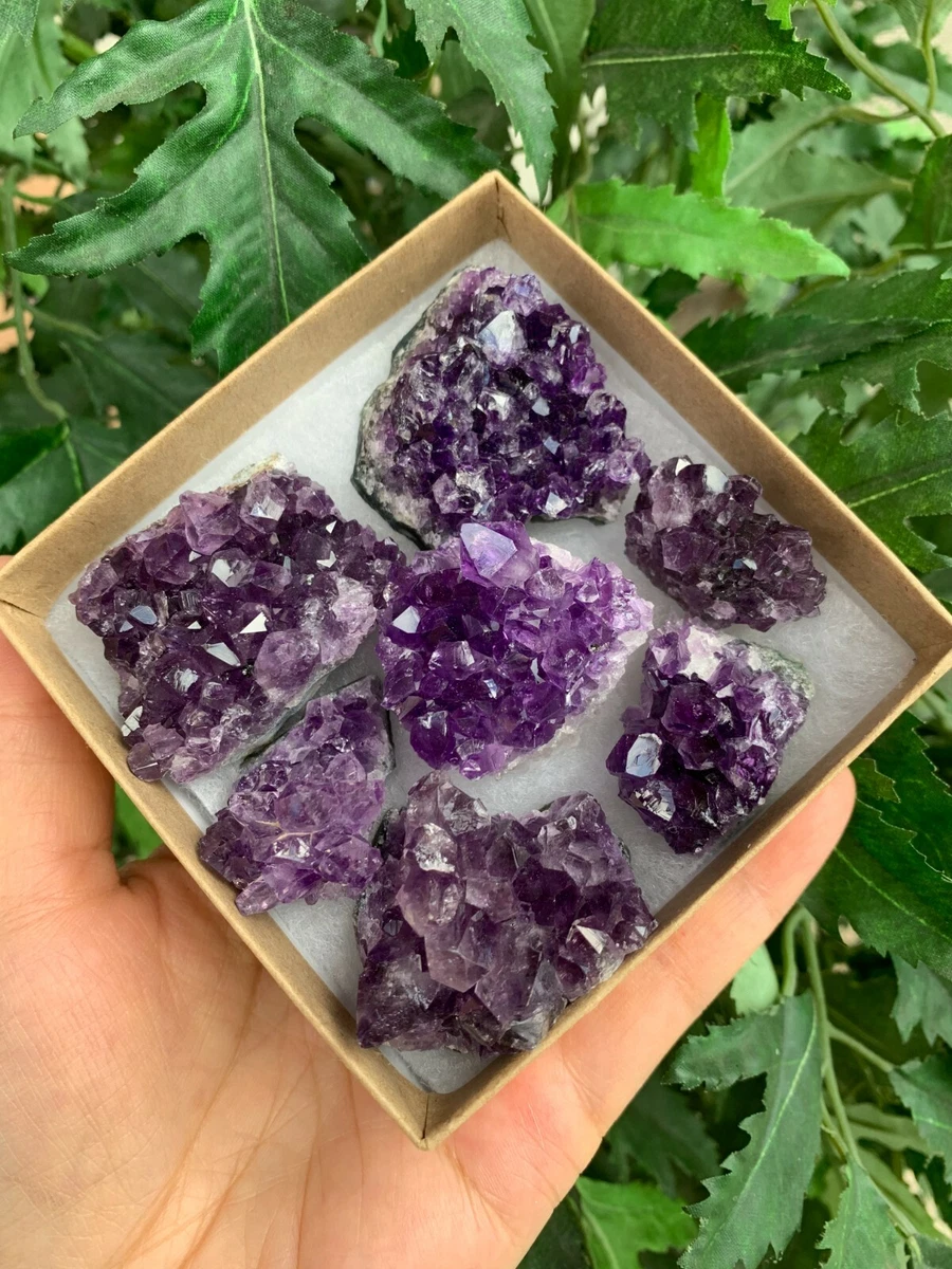 Raw Amethyst Cluster Druzy Collection Box:6-8 oz, 7 - 10 Pieces