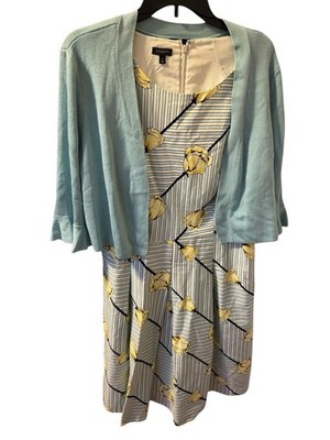 Talbots Crisp Tulip Sleeveless Fit  Flare Dress Stripe 14 W/ Blue Sweater Size L
