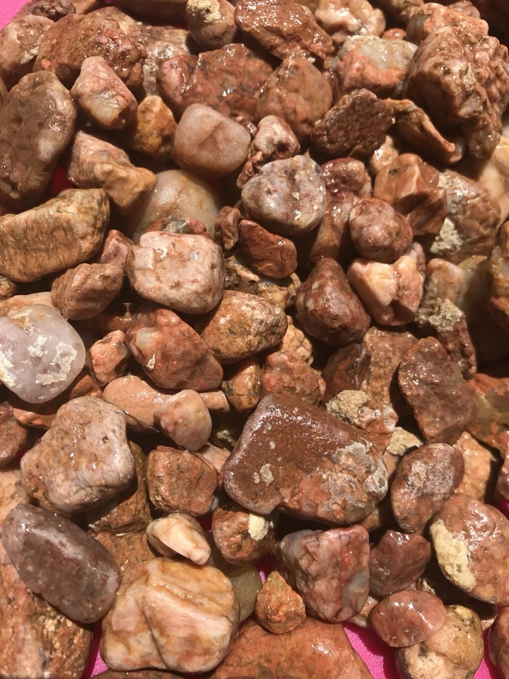 Sustrato de acuario rocas decorativas peces seguro esterilizado sin caracoles de origen estadounidense Foto 2 de 2