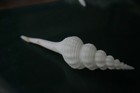 Picture 3 of 5