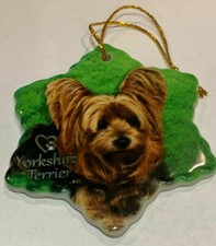 Yorkshire Terrier Dog Porcelain Star Shaped Christmas Ornament New