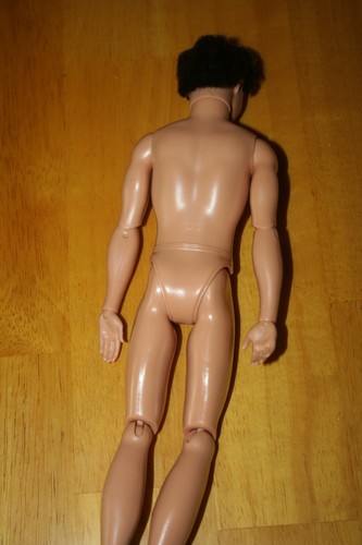 100 Poses + Ken Doll-Used - Picture 5 of 6