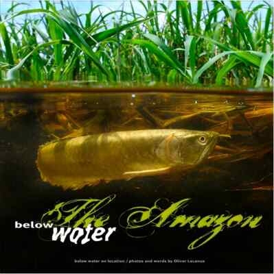 The Amazon Below Water - By Oliver Lucanus (Book) - Fast & FREE Shipping