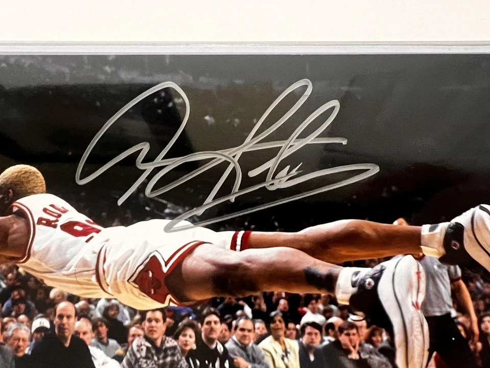 Chicago Bulls Dennis Rodman Autographed 8x10 Photo-Steiner Cert - Image 2 of 4
