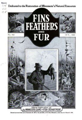 FINS FEATHERS & FUR MAGAZINE 91 Unique Issue Collection On USB Flash Drive