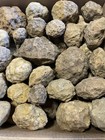 LARGE FLAT RATE BOX OF KENTUCKY GEODES:VARIOUS SIZES-1” TO 4”. LAPIDARY! 39 LBS. — photo 2