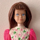 Vintage Skipper Doll Brunette Two-Tone Hair In Budding Beauty Dress