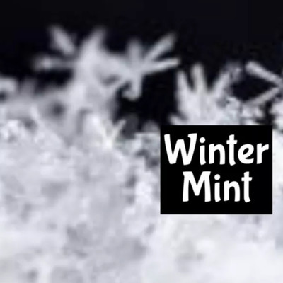 WINTER MINT Perfume Cologne Body Splash Scrub Lotion Fragrance Beard Shave Oil