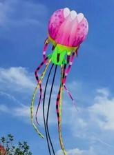 18M Large 3D Kites models Original Software kite jellyfish painted flower Demo