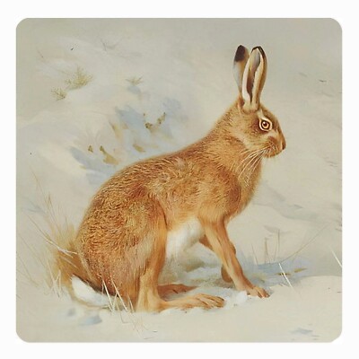 Untersetzer Keramik Korkunterseite Kunst Archibald Thorburn Feldhase
