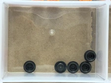 LEGO Parts - Pearl Dark Gray Plate, Round 1 x 1 - No 4073 - QTY 5