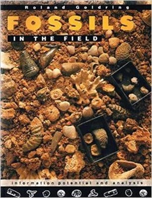 Fossils in the Field : Information Potential and Analysis Roland