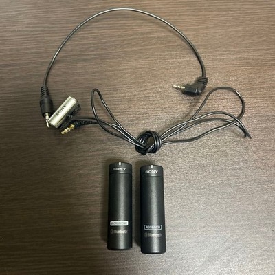Sony ECM-AW4 Funkmikrofon gebraucht