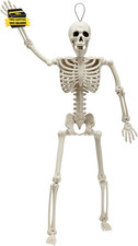 16  Halloween Posable Skeleton Decor, Full Body Skeleton with Movable Joints, Ha