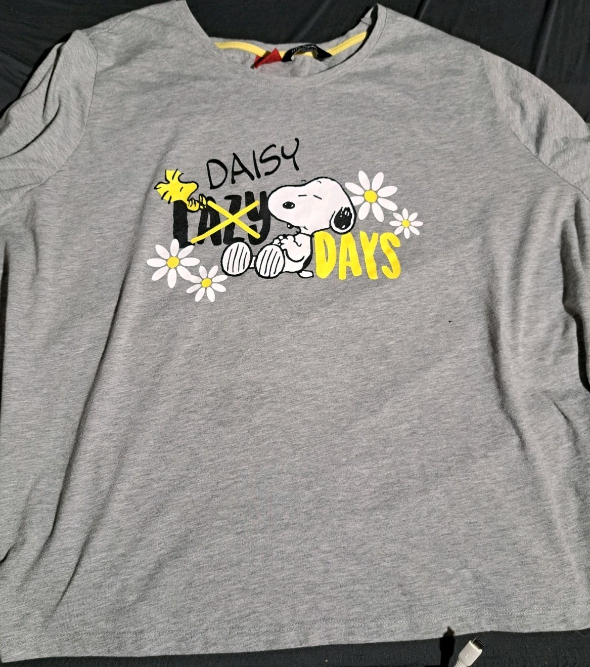 Unisex Gray Peanuts Tshirt Size 32/34 Featuring Snoopy & Woodstock Lazy Daisy Days