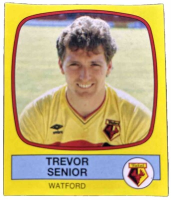 Panini Football 88 341 TREVOR SENIOR Watford UK