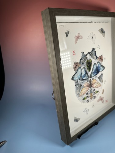 Marmont Blooming Butterfly Skull (Framed Shadow Box) inspired by Parvez Taj - Picture 18 of 20