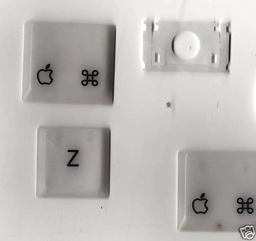 Apple iBook G3 Keyboard Replacement keys (KEYS ONLY) - Image 3 of 4