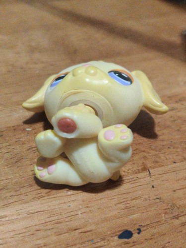 Littlest Pet Shop # 268 Cream Yellow Retriever Puppy - Picture 4 of 4