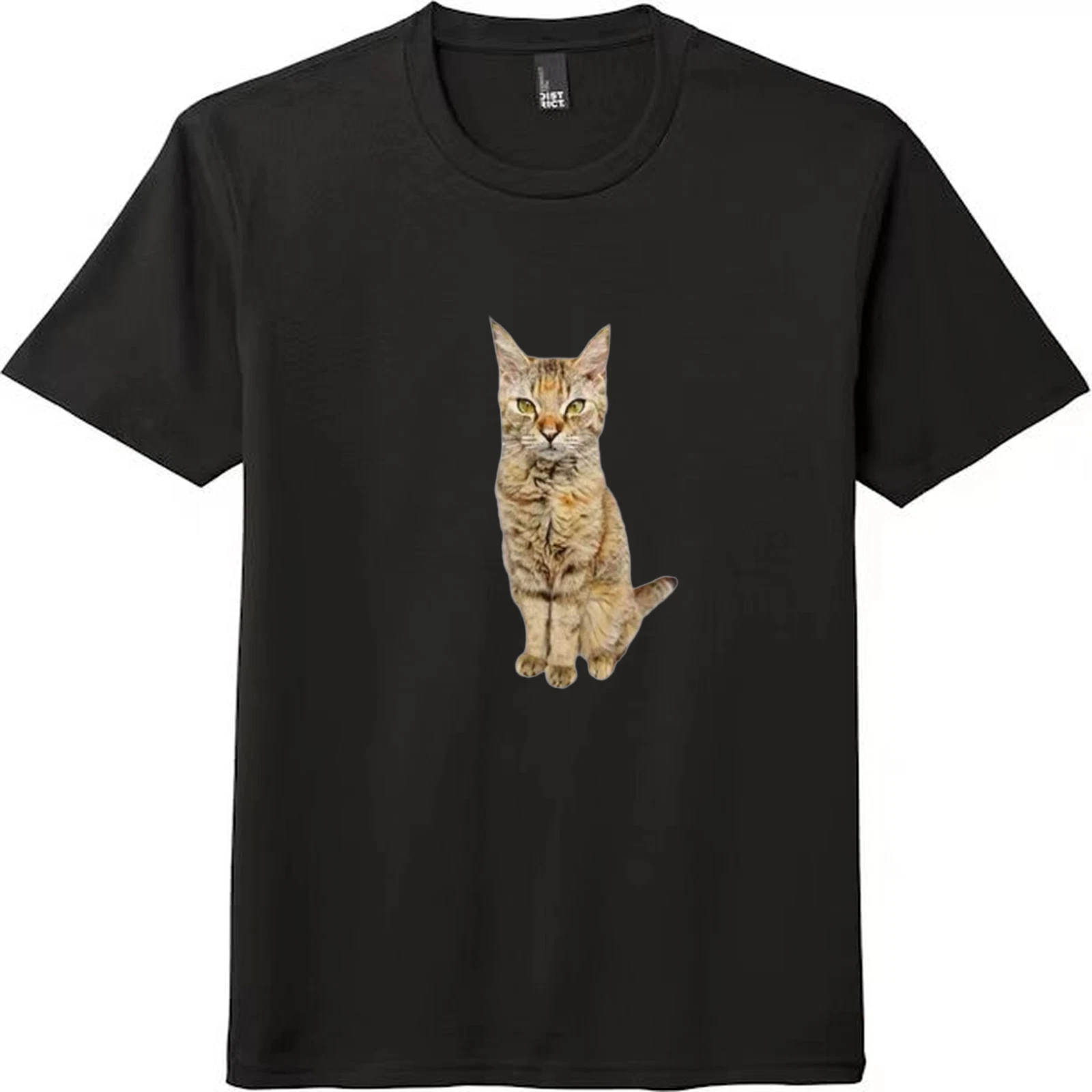 Serious Tabby Cat Graphic Unisex Tee
