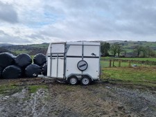 Bateson Deauville 55 Horse Trailer 2011