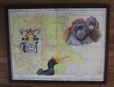 Original artwork on 1952 Borneo map