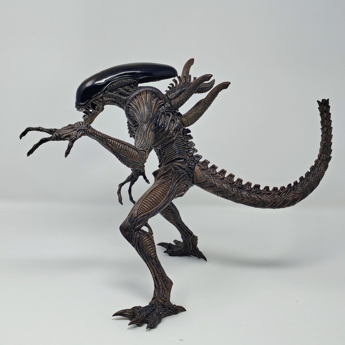 2本セット配送込「creepy 5」5'9\