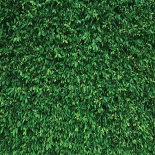 Grass Wall Backdrop 5x5ft Green Leaves Lawn Photography Greenery Decor Party