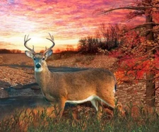 Deer Sunset Hunting Hunter US Old Style Flag Deluxe Polar Fleece 50"X60" Blanket
