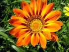 Bild 8 von 8