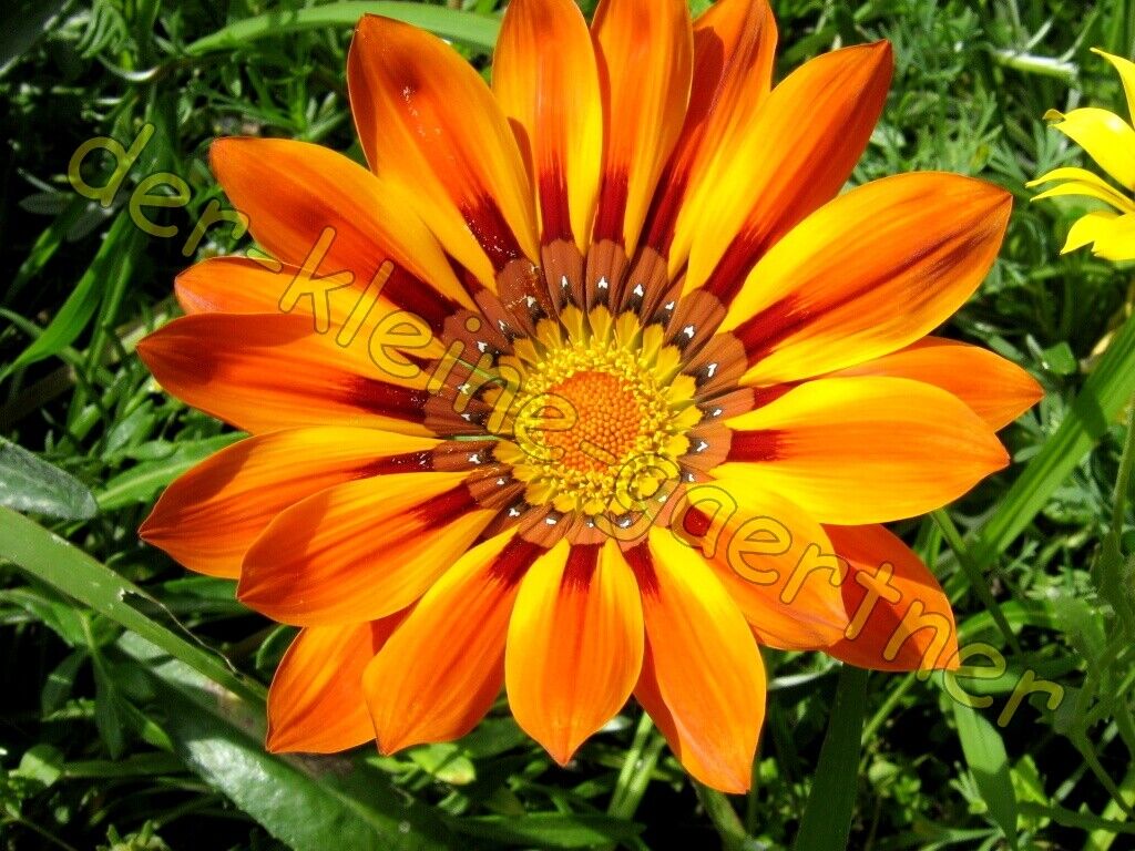 Bild 8 von 8