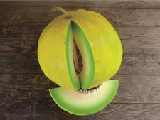 40 Heirloom Boule d'Or Melon Seeds – French Golden Melon - Very Sweet&Juicy