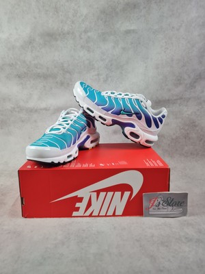 Nike Air Max Plus TN DM0032-102 Gr.42,5/45,5/47