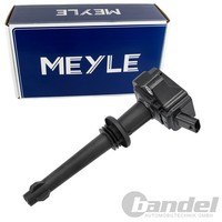 Meyle ZÜNdspule ZÜNdmodul Passend FüR Jaguar XF XJ XK Land Rover Discovery