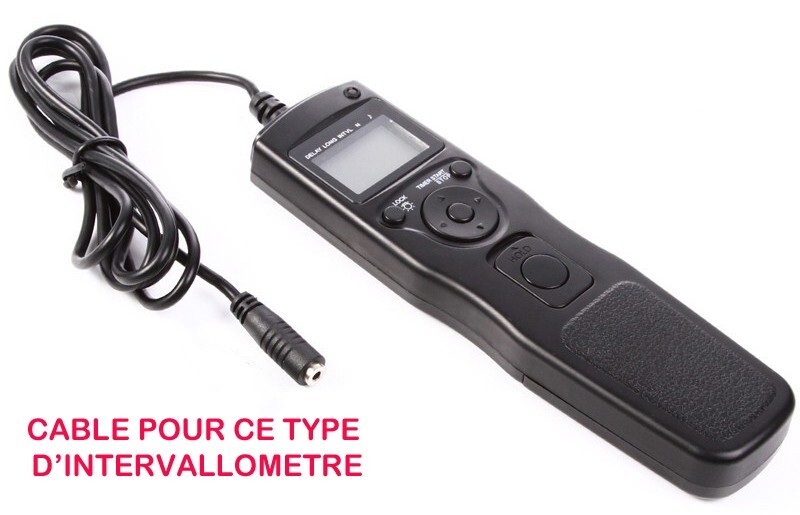 AMPOULES H3 PIAA NIGHT-Tech 3900k H-821E - FR AMPOULES H3 PIAA NIGHT-Tech 3900k H-821E - FR