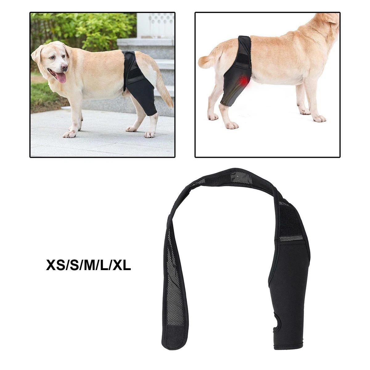 Neoprene dog hotsell knee brace