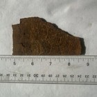 COBRA AKA SCRIPT STONE JASPER SLAB ~ 66 grams / rough agate cab mineral rock — photo 8