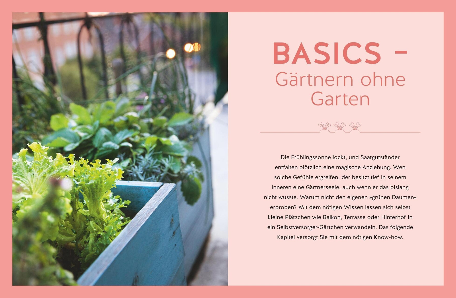 Thumbnail - Dorothea Baumjohann Ernteglück Auch Ohne Garten