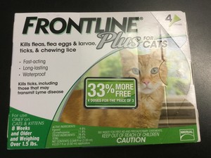 frontline for kittens under 8 weeks
