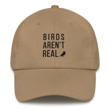 Birds Aren't Real Hat, Pigeons are Liars Hat, #BirdsAren'tReal Hat, Baseball Cap