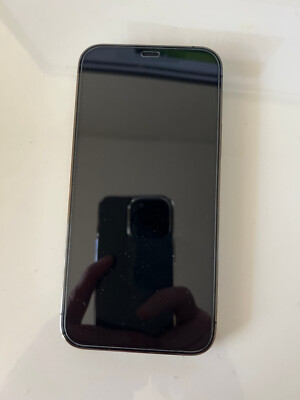 Apple iPhone 12 Pro - 256GB - Graphite (Ohne Simlock) (Dual-SIM)