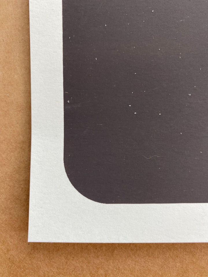 OFFICIAL The Foo Fighters Gilford NH May 24 2023 Screen Print AP Poster