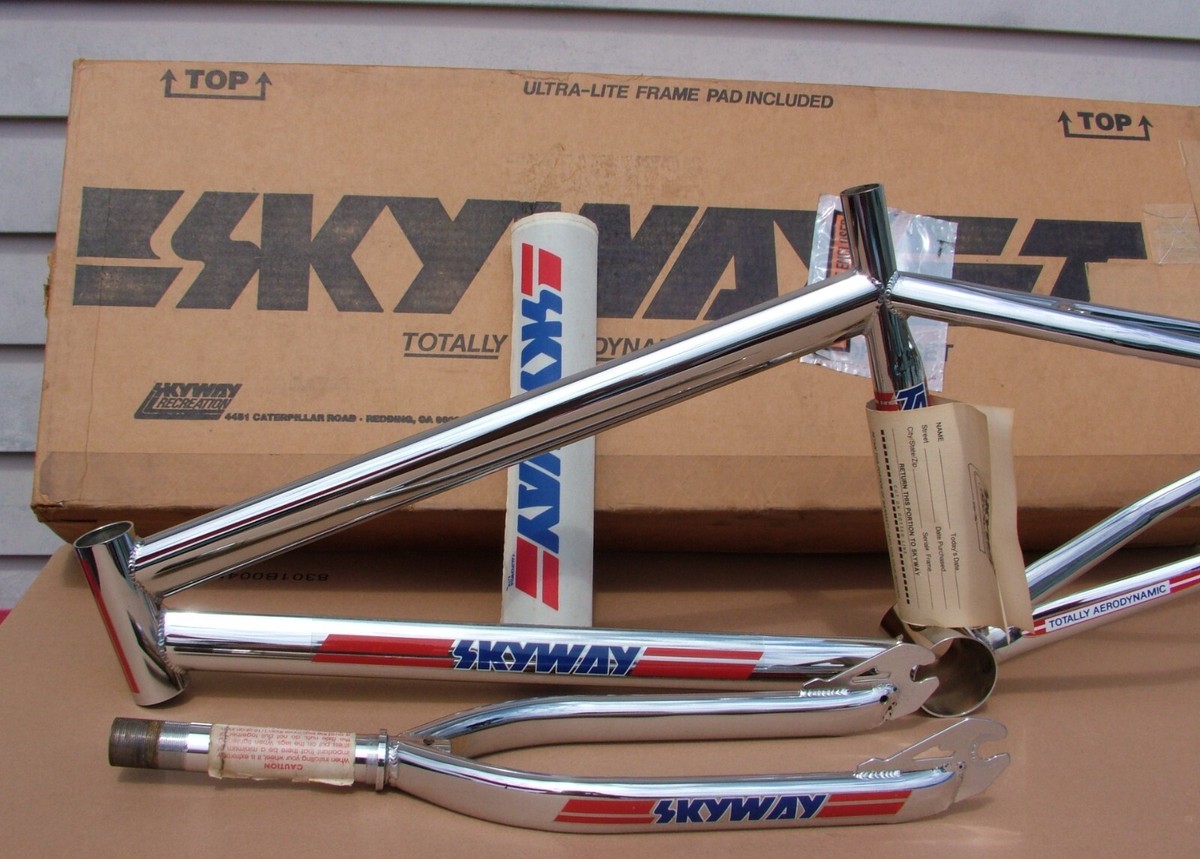 skyway TAフレーム&フォーク　当時物！ skyway TAフレーム&フォーク 当時物！ skyway TAフレーム&フォーク