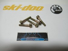 Ski-Doo Snowmobile 207663544 Hex Flange Screw O.E.M. N.O.S. QTY 5
