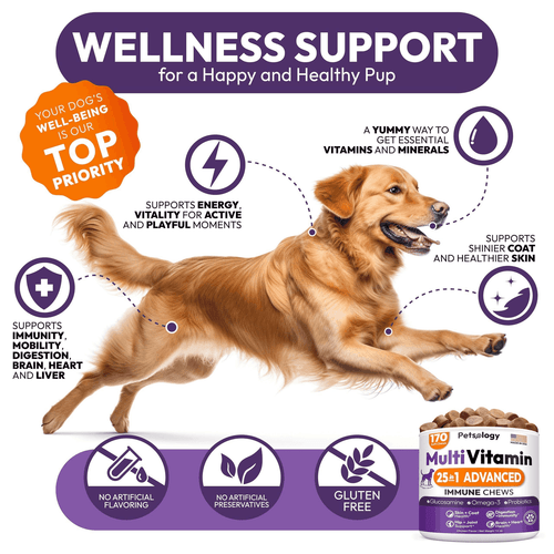 Dog Multivitamin Chewable Vitamins Supplements with Glucosamine 170 Chews - Picture 4 of 8