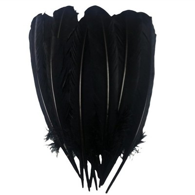 24Pcs Black Turkey Feathers 10~12in Long,Beautiful Feather for Crafts 26-31cm,Bu