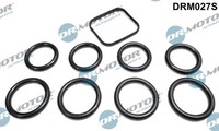 Dr.Motor Automotive Dichtungssatz AnsaugkrüMmer FüR Ford Fiesta VI Focus