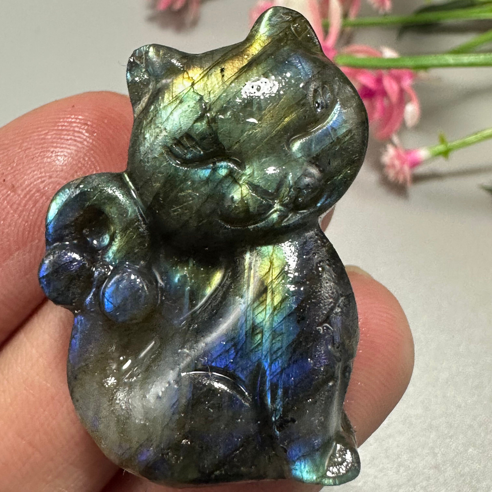 Natural Labradorite Cat Quartz Skull Crystal Specimen Reiki Healing Gift 1pc